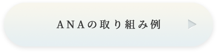 ANAの取り組み例